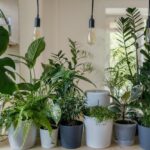 Comment crée un jardin d'intérieur avec des plantes ?